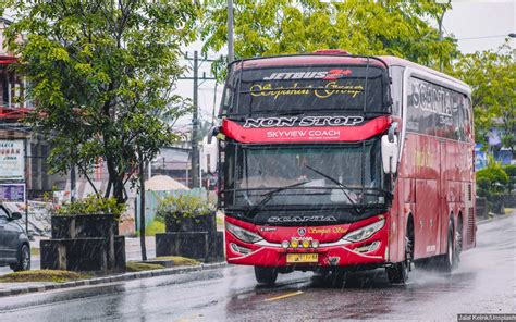 Jangan Nekat Pemerintah Juga Larang Mudik Lokal Di Wilayah Kebal