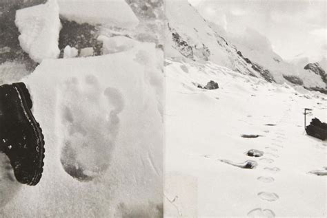 Yeti Evidence Thats Captivating For Believers And Skeptics