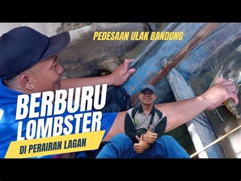 Berburu Lombster Di Perairan Sungai Lagan Pedesaan Viralvideo Mancing