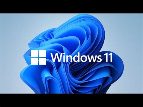 Si actualizo a Windows 11 se borra todo Guía de actualización sin