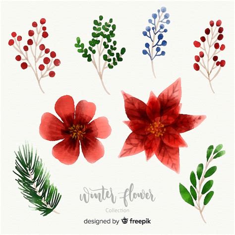 Free Vector Watercolor Winter Flower Collection