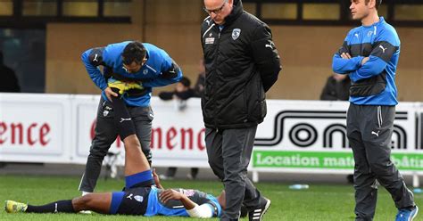 Top 14 Montpellier Officialise La Prolongation De White Pour Deux