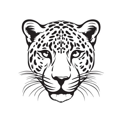 Leopard Head Vector Images 38567766 Vector Art At Vecteezy