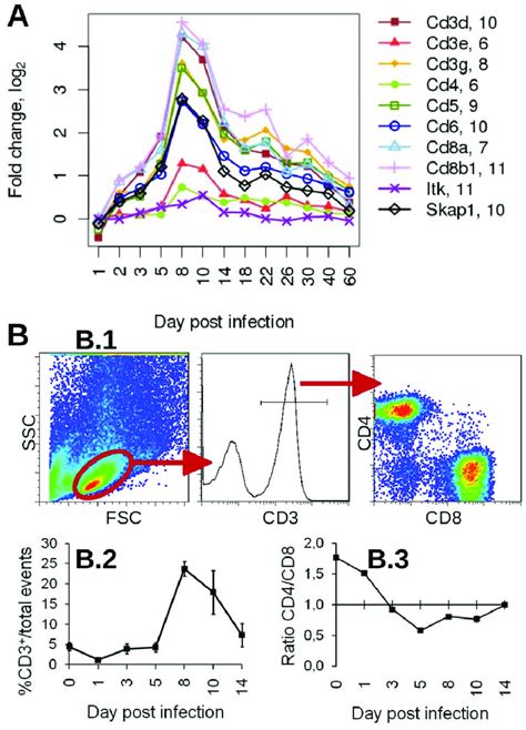 Kinetics Of Expression Changes For T Cell Signature Genes After