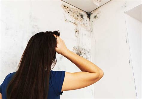 Damp And Mould Health Impacts Explained Warm Housing Uk