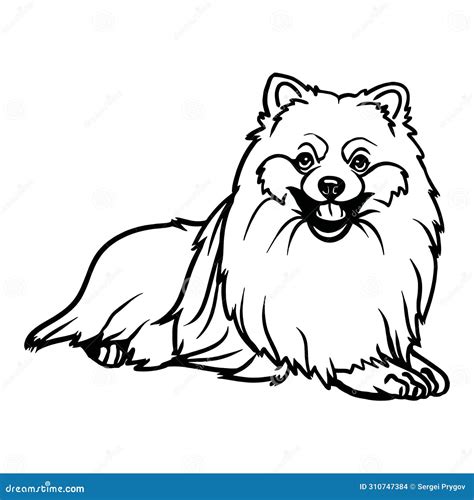 Pomeranian Lying In The Bed. Vector Illustration | CartoonDealer.com