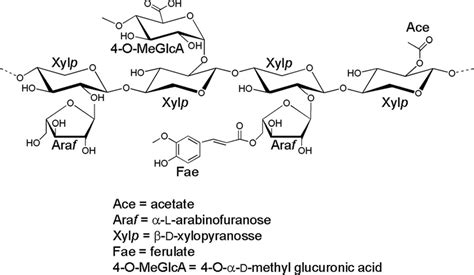 Schematic of xylan. | Download Scientific Diagram