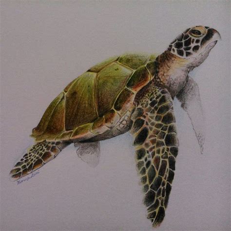 Sea Turtle Paintings Sea Turtle By Awishdiani On Deviantart Sea