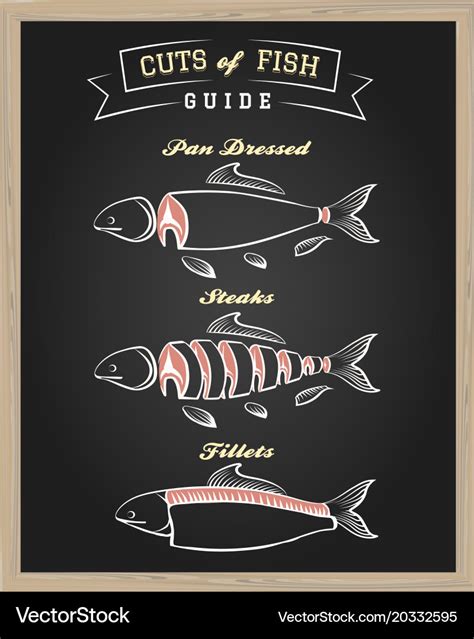 Cuts of fish guide Royalty Free Vector Image - VectorStock