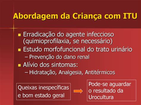 Infecção Do Trato Urinário Na Infância Ppt Carregar