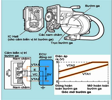 Cảm biến vị trí bướm ga loại Hall