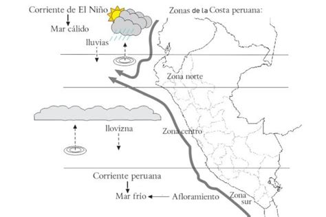 Corrientes Marinas Qué Son Tipos Y Cómo Se Forman Resumen