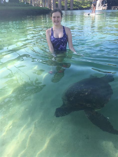 Hilton Waikoloa Lagoon - Swimming with Turtles - MisMashedMom