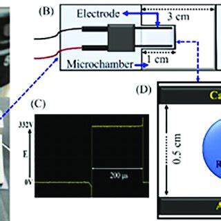 Experimental Setup To Apply The Electric Field To The Guvs A