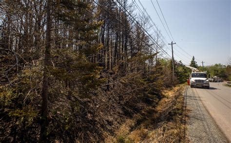 Hrm Officials Say More Evacuation Orders Expected To Be Lifted On Friday Citynews Halifax