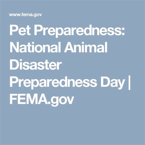 Pet Preparedness National Animal Disaster Preparedness Day