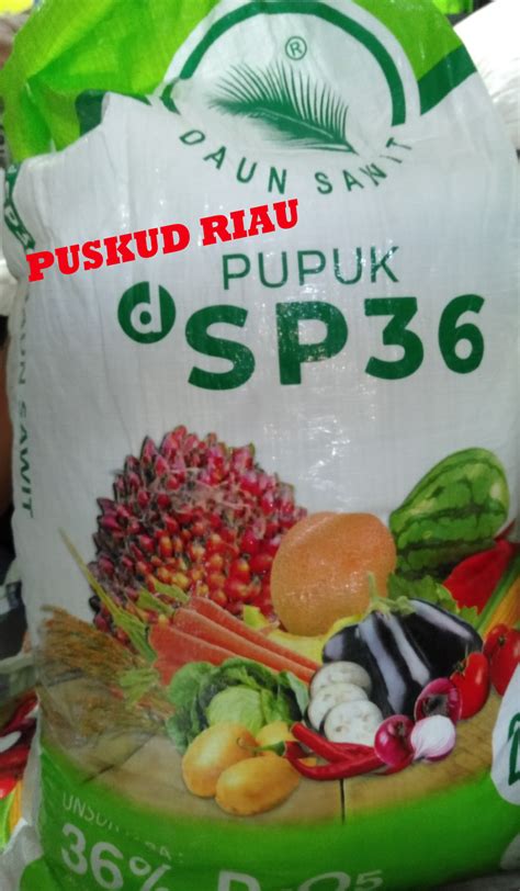 SP36 Daun Sawit Koperasi