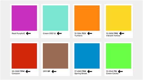 Come Utilizzare I Colori PANTONE Guida NO PANIC Ai Campionari My