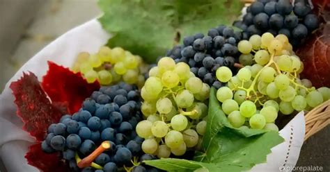 What Is Viticulture And How Does It Impact Wine