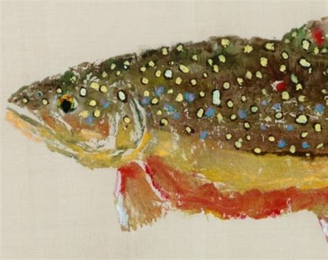 Brook Trout Gyotaku Fish Rubbing Limited Edition Print 15 Etsy