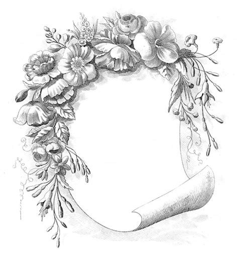 Floral Frame Clipart Black And White Info