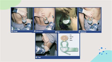 Ex Phys Body Composition Slides Flashcards Quizlet