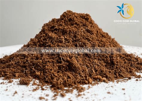 coconut coir propagation cube coco coir global