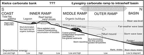 The generalized framework of the carbonate ramp system (based on ...