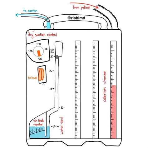 Understanding The Tub Drain System A Visual Guide