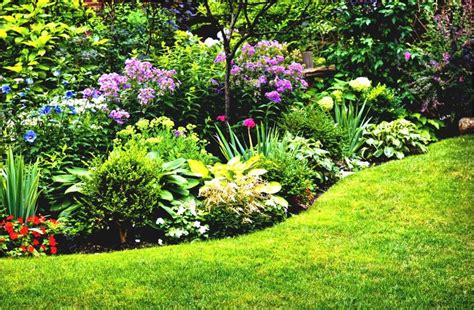 Simple Flower Garden Ideas Full Sun for Your Back Yard Expert Flower ...