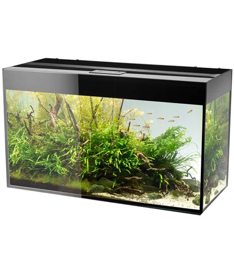 Aquael Glossy Noir Laqu Aquarium Cm Volume L Et Clairage