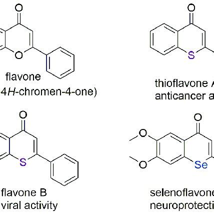 The flavone structure and its derivatives. | Download Scientific Diagram