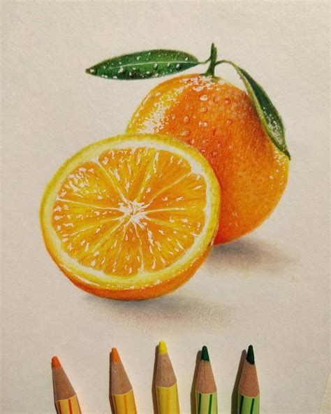 Realistic Orange drawing with color pencils | Colorful drawings ...