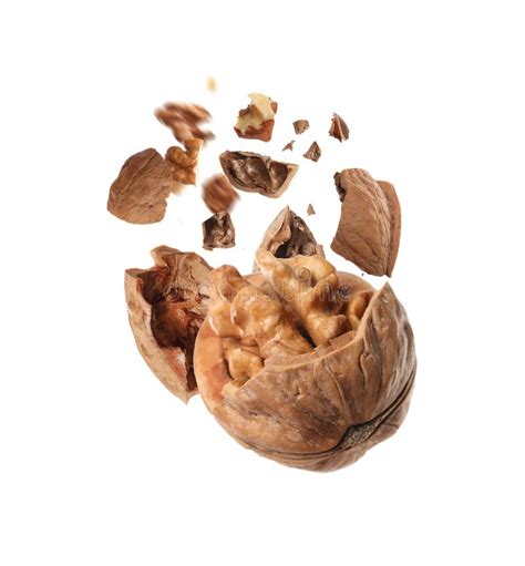 Broken Walnut And Pieces Of Shell Flying On White Background Stock