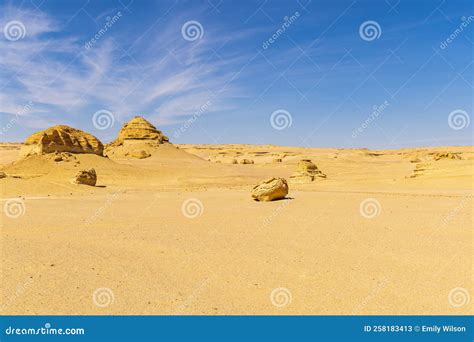 The Desert On The Interpretive Trail At Wadi El Hitan Paleontological