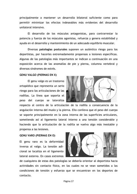 PDF 7 Fundamentos de la biomecánica del aparato locomotor DOKUMEN TIPS