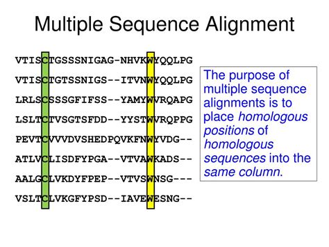 PPT Multiple Sequence Alignment PowerPoint Presentation Free