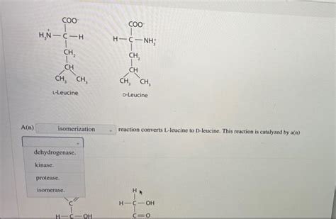 Solved For Each Pair Of Biomolecules Identify The Type Of Chegg