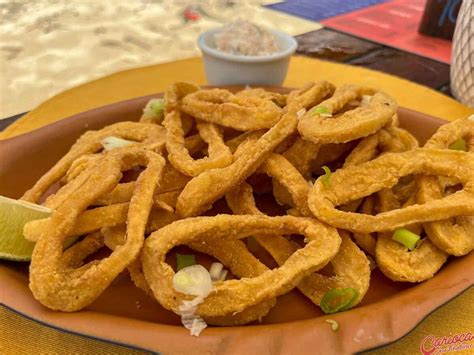 Onde comer em Ilha Grande 16 restaurantes imperdíveis na ilha