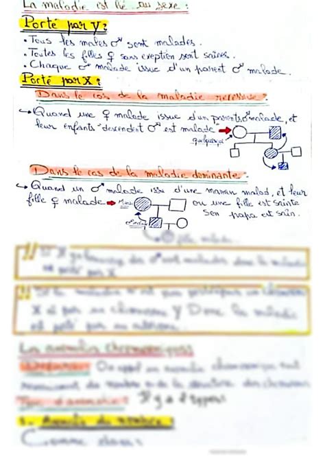 Solution Resume De La Genetique Humaine Studypool