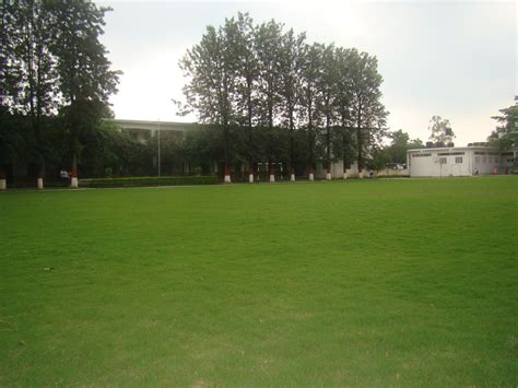 Cbse Dehradun Result 3