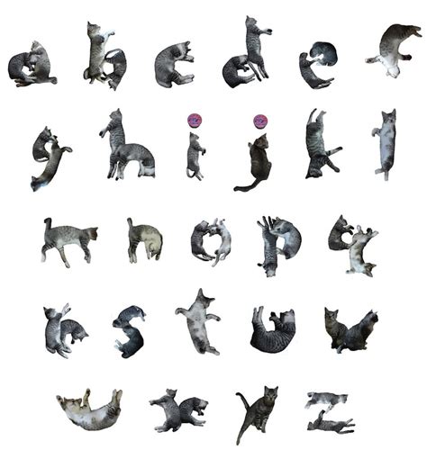 Playful Font Transforms Words Into Adorable Cat Poses