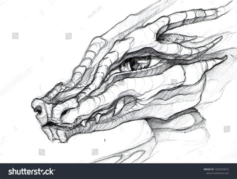 Dragon Head Pencil Drawings