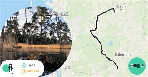 Treinstapper Essen Heide Recreatieve Wandelroute RouteYou