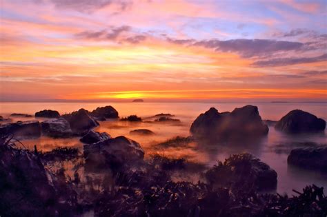 The b&q weston super mare garden center has a surprising deal 2