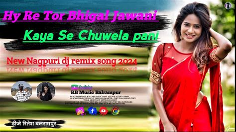 Hy Re Tor Bhigal Jawani Nagpurinew Nagpuri Dj Song Dj Ritesh