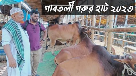 গাবতলী গরুর হাট ২০২৩ Gabtoli Gorur Haat 2023 গাবতলী হাটের সবচেয়ে