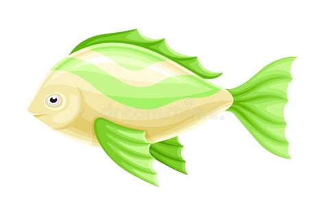 Hermosos Peces Tropicales Ex Ticos Con Ilustraci N Vectorial De Aletas