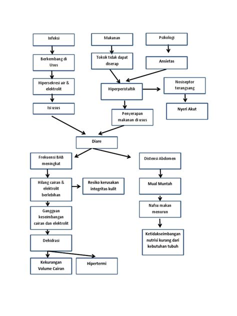 Pathway Diare Pdf