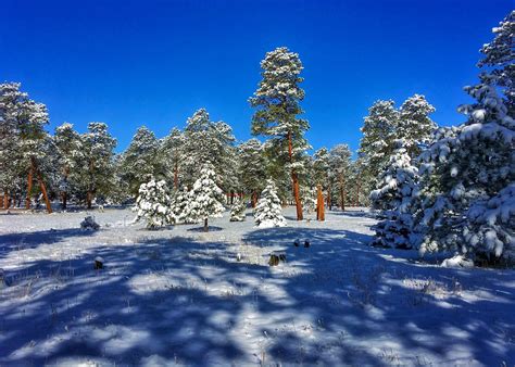 Bergen Park - A Shaded Retreat